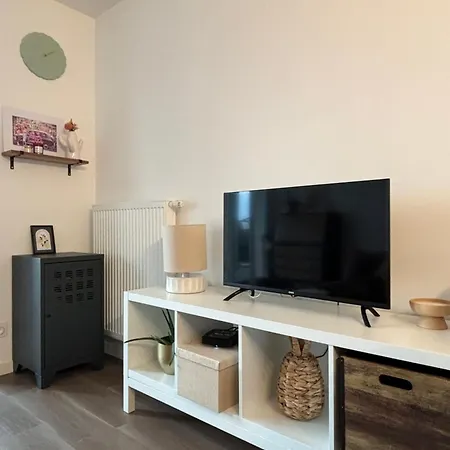 T1 Bis Chaleureux Et Bien Situe *